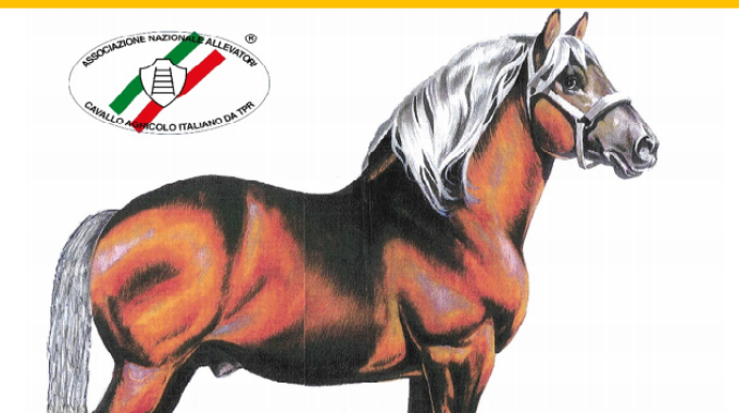 Anacaitpr: annullato il raduno candidati stalloni di Montereale - CavalloMagazine