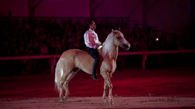 Città Di Castello Apre Oggi La 49° Mostra Nazionale Del Cavallo 