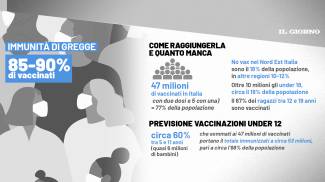 Immunità di gregge in Italia: quanto manca e come raggiungerla