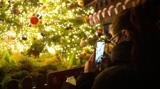 Foto ricordo con l&#39;albero di Natale di Bologna in piazza Nettuno