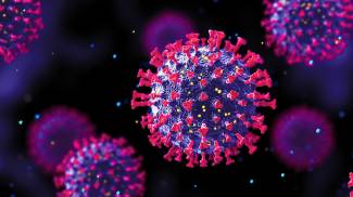 Il 2022 è l&#39;anno della fine della pandemia secondo il virologo Guido Silvestri