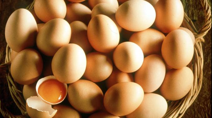Allarme uova alla salmonella: ecco dove
